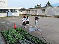 Img_3777_2