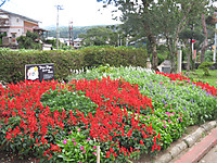 Img_5944
